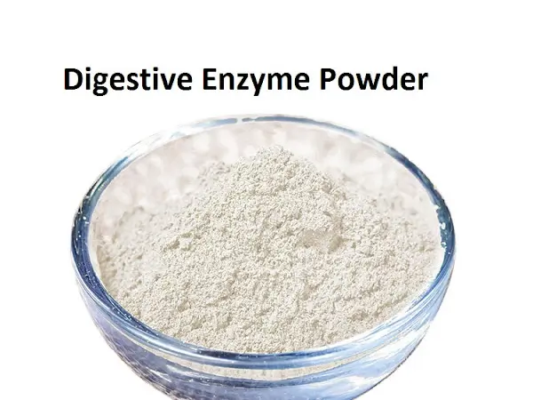 Digestive enzyme powder in a bowl on a white background.