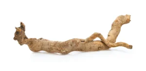 A piece of wood laying on top of a white background.