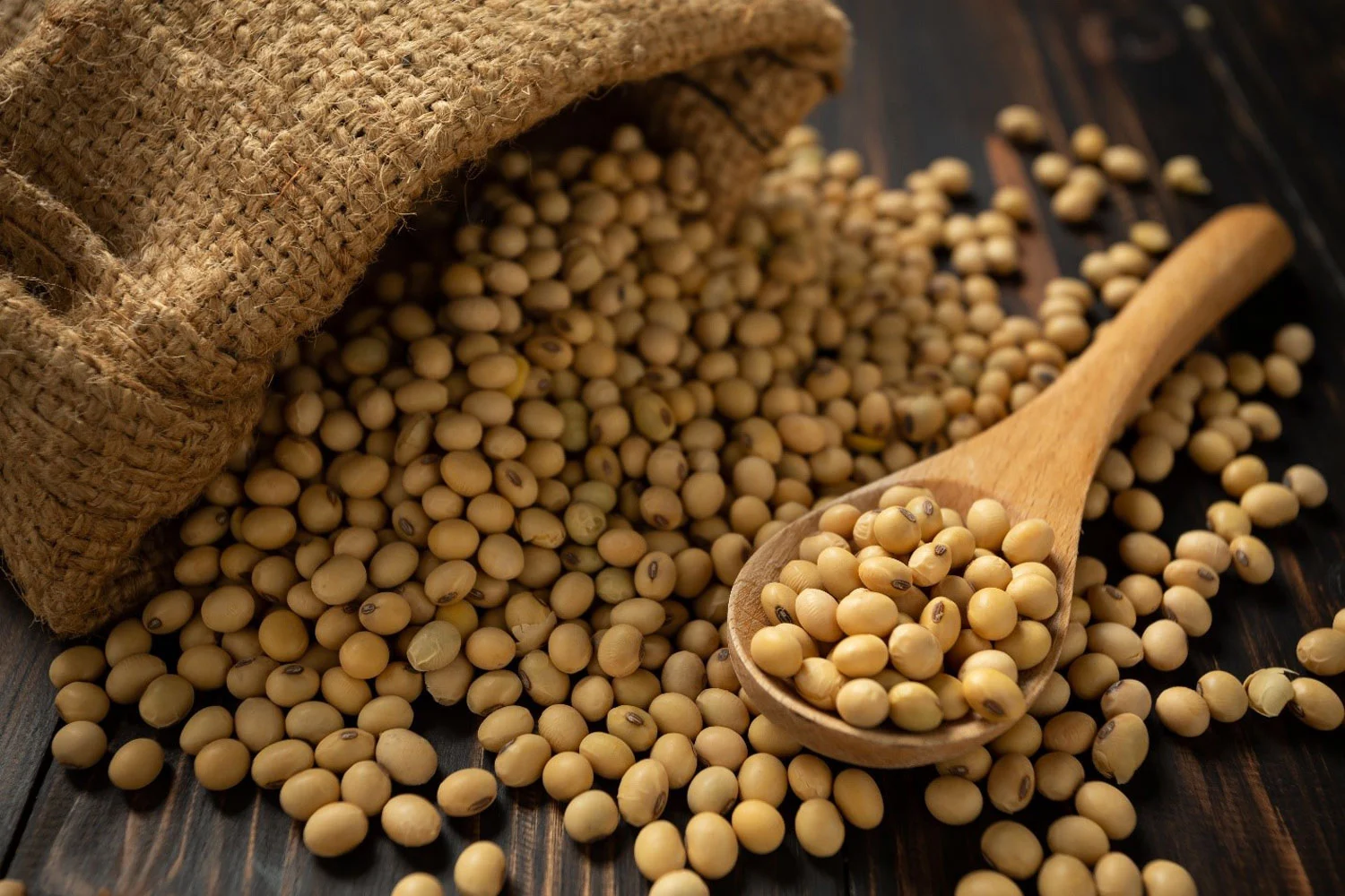 Soy beans in a sack on a wooden table.