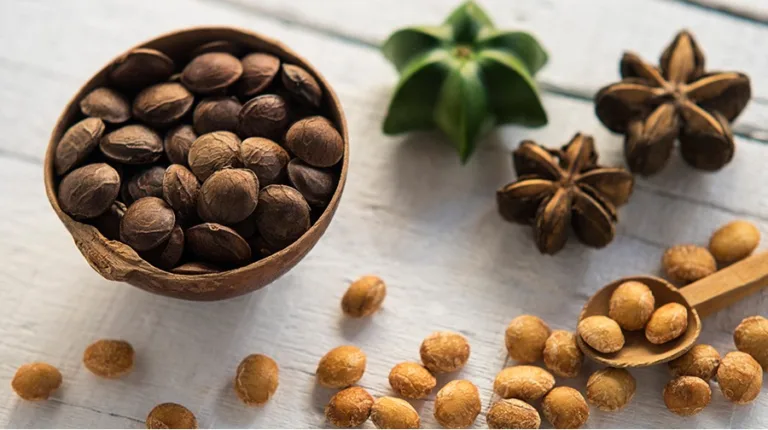 A bowl of Sacha Inchi seeds on a wooden table.