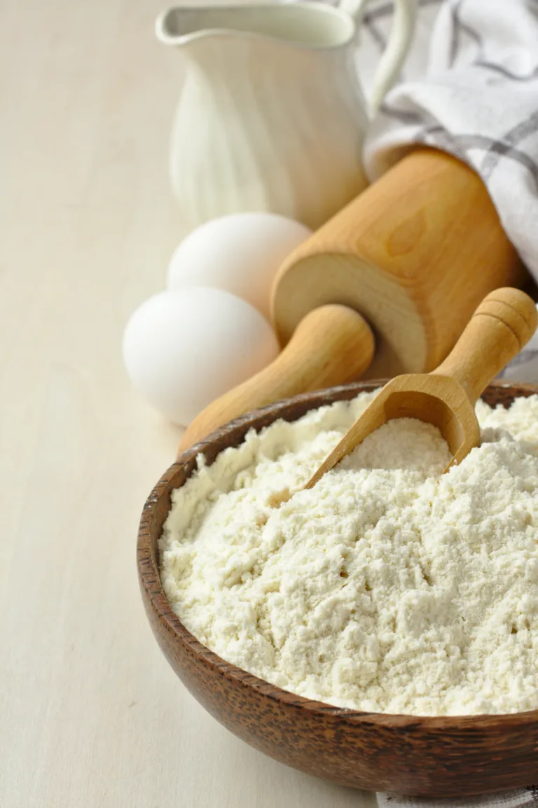 A bowl filled with whole milk powder