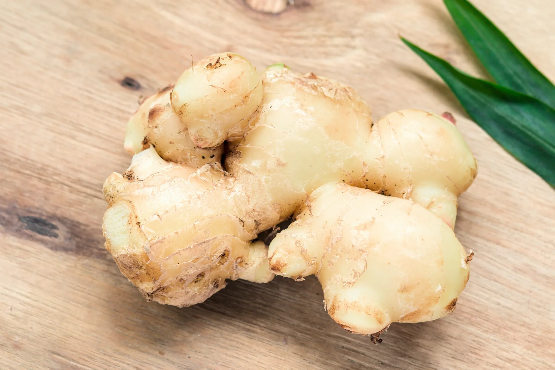 Ginger Powder - A Spice with Endless Possibilities