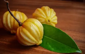 A spoonful of garcinia powder beside fresh garcinia fruit.