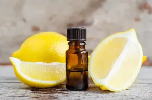 Lemon oil bottle surrounded by fresh lemons and green leaves