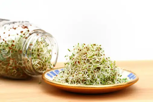 Sprouts on a plate next to a glass jar.