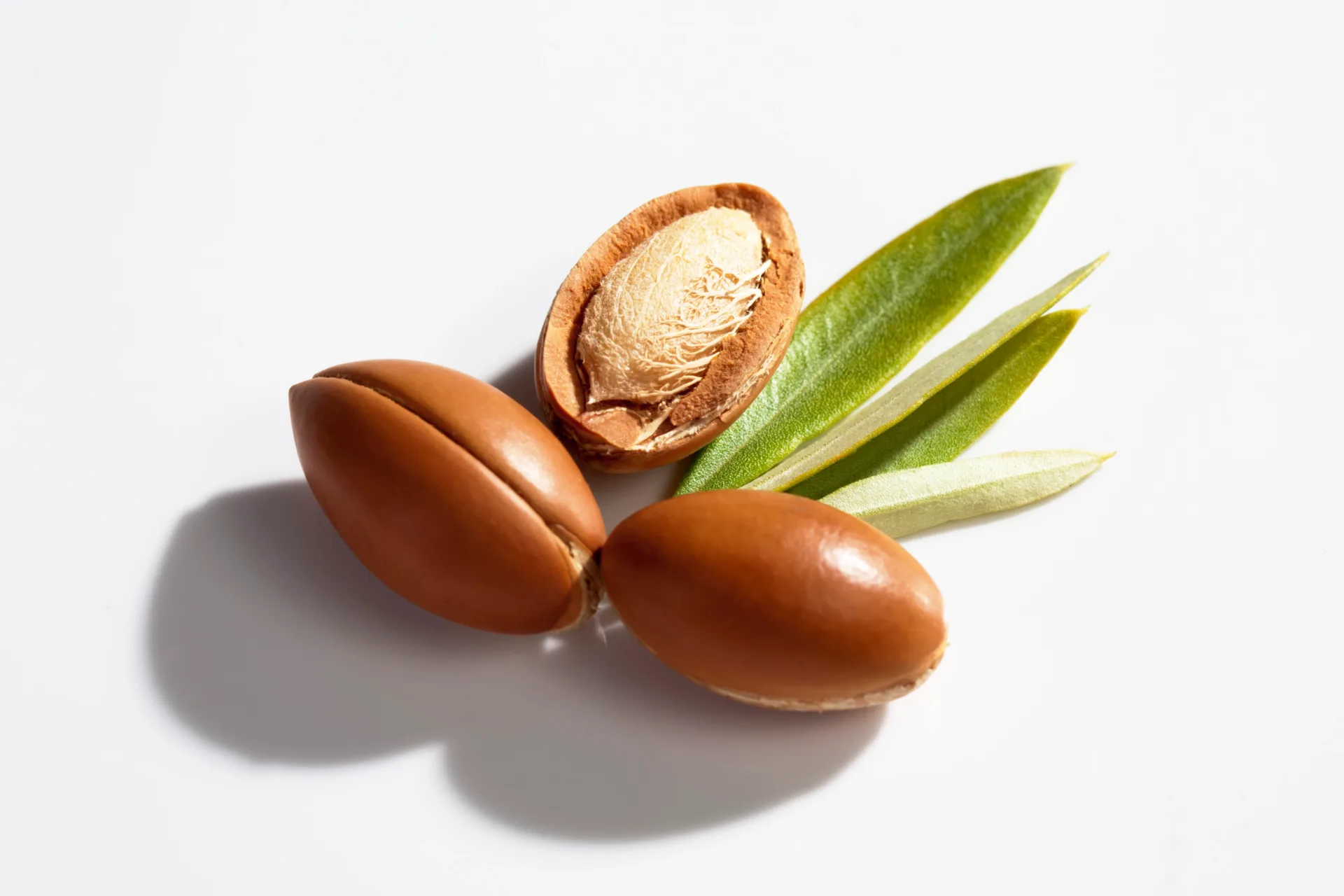 Argan nuts and leaves on white background.