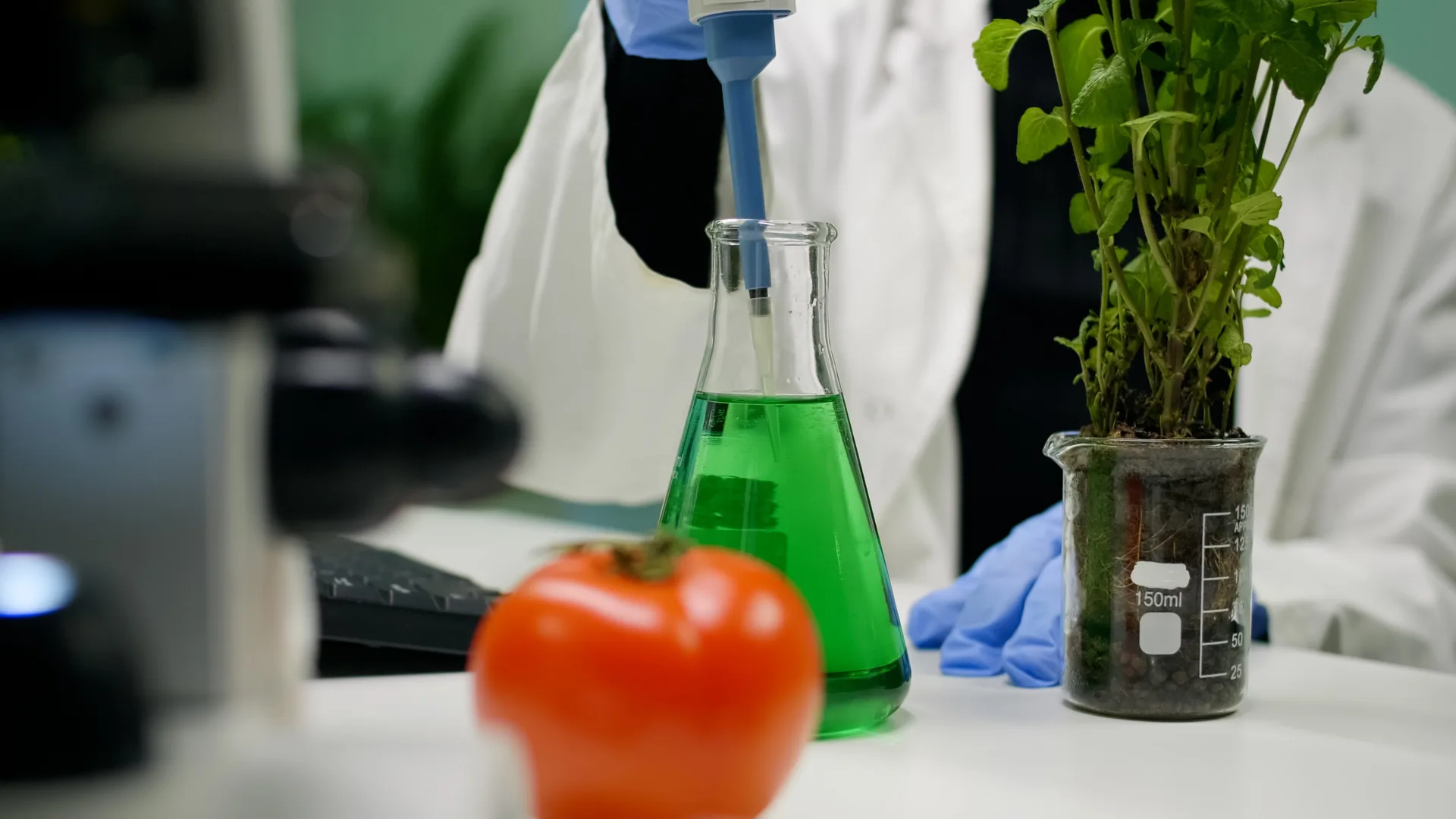 Scientist testing plant samples in laboratory.