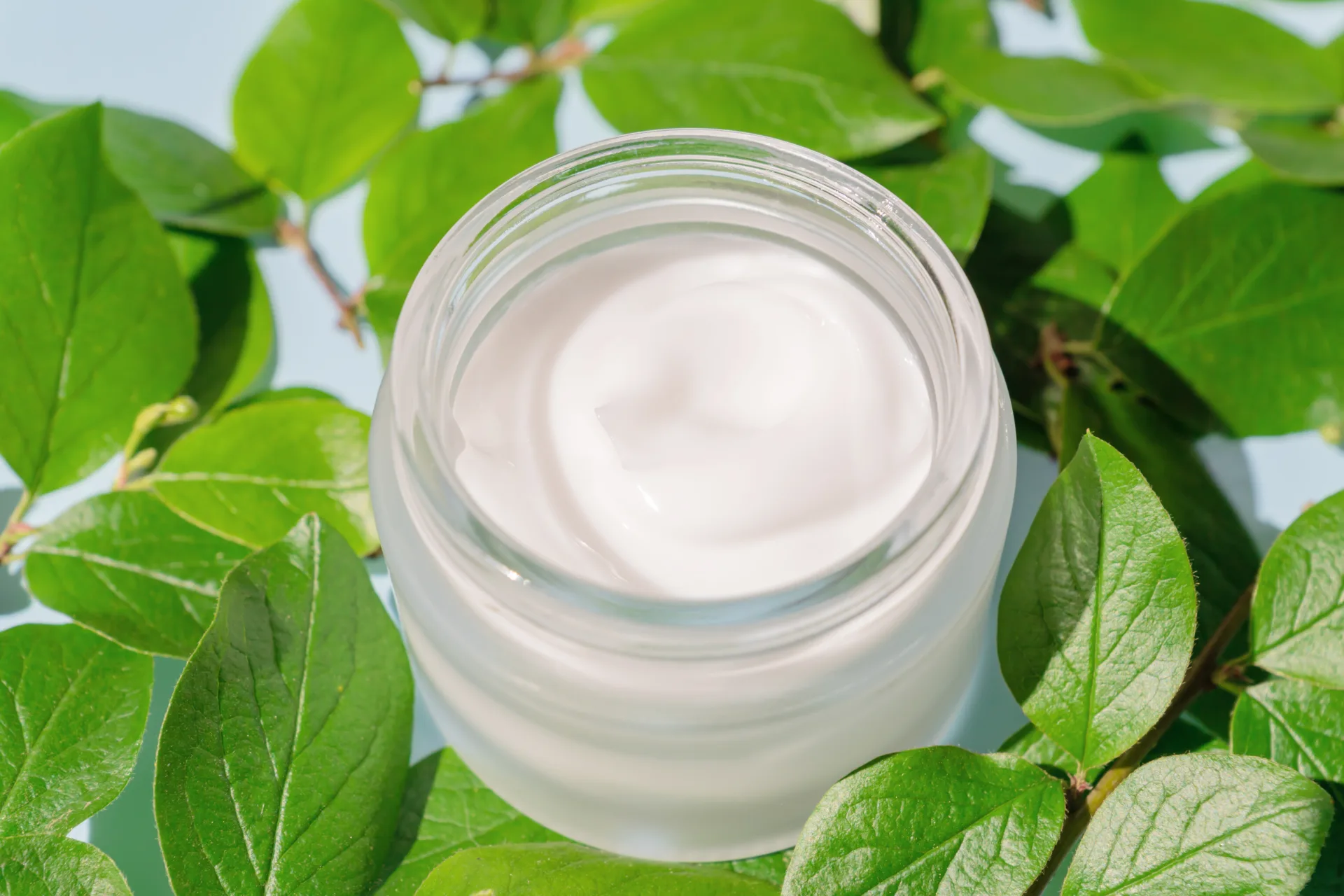 Moisturizing cream jar surrounded by green leaves.