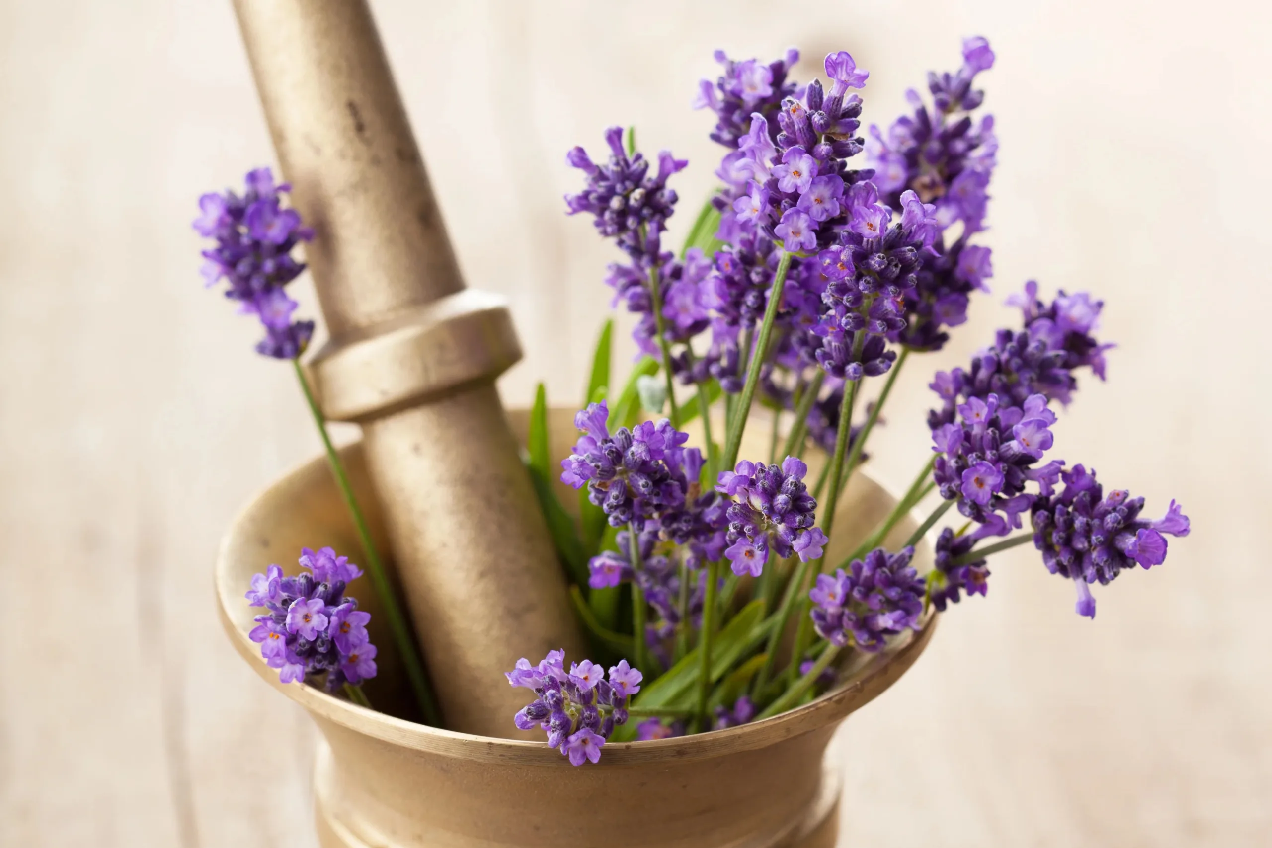 Fresh lavender in an antique mortar and pestle.