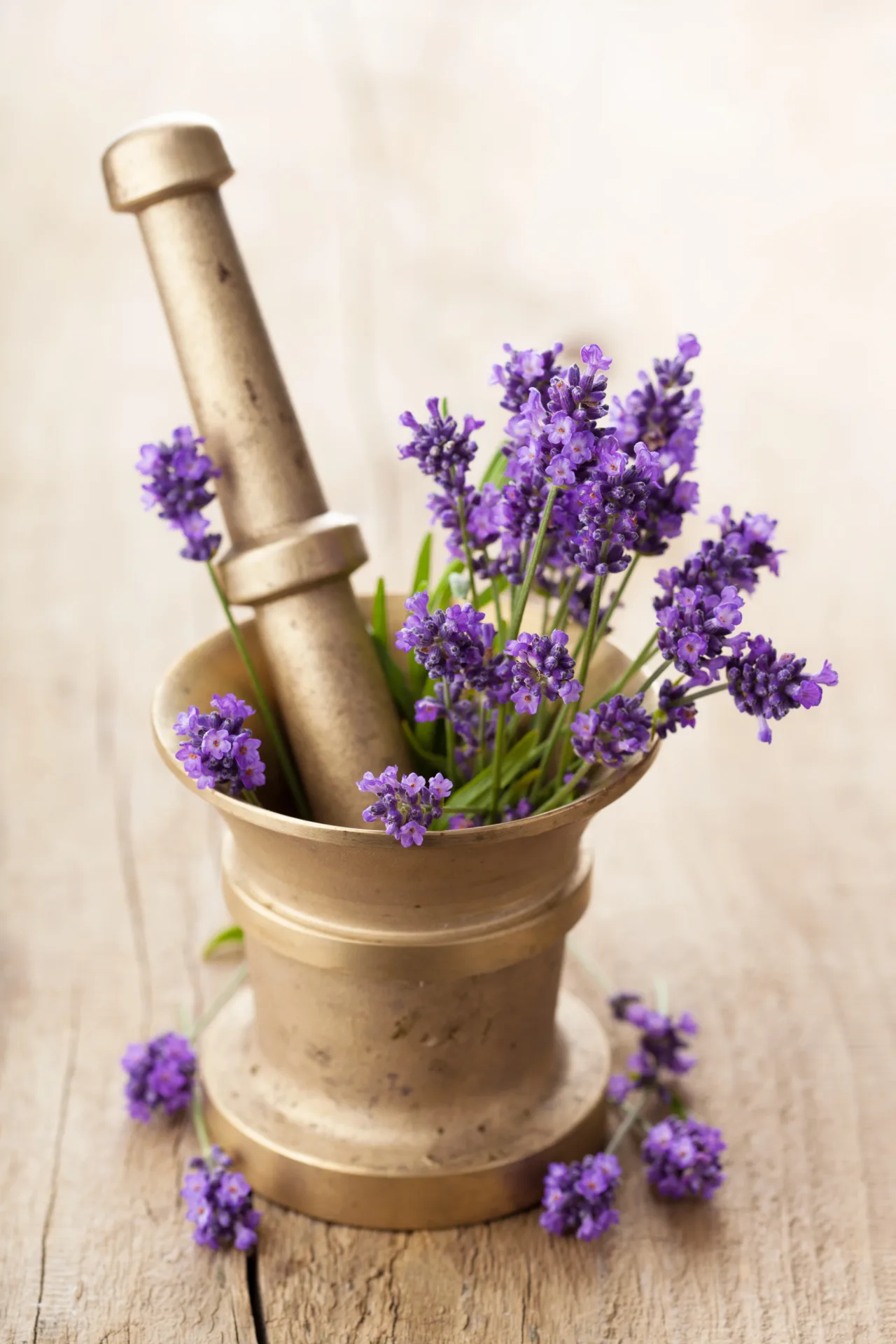 Lavender flowers in a brass mortar and pestle.