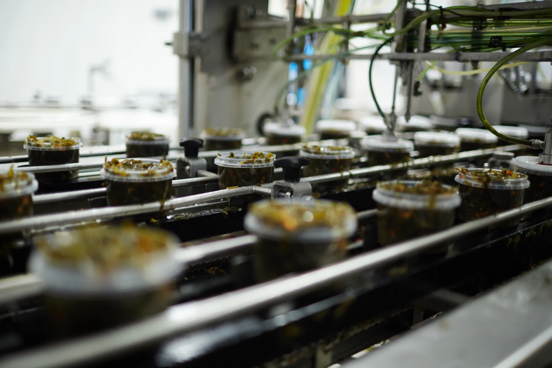 Food production line with containers on conveyor belt.