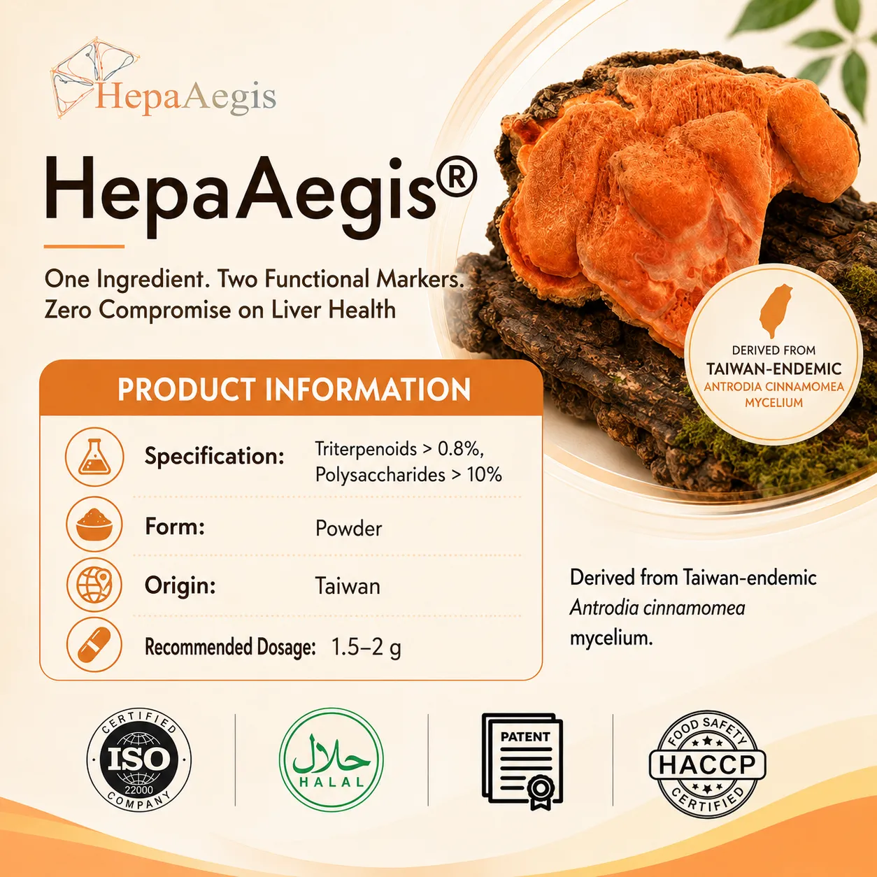HepaAegis liver health supplement from Taiwan mycelium