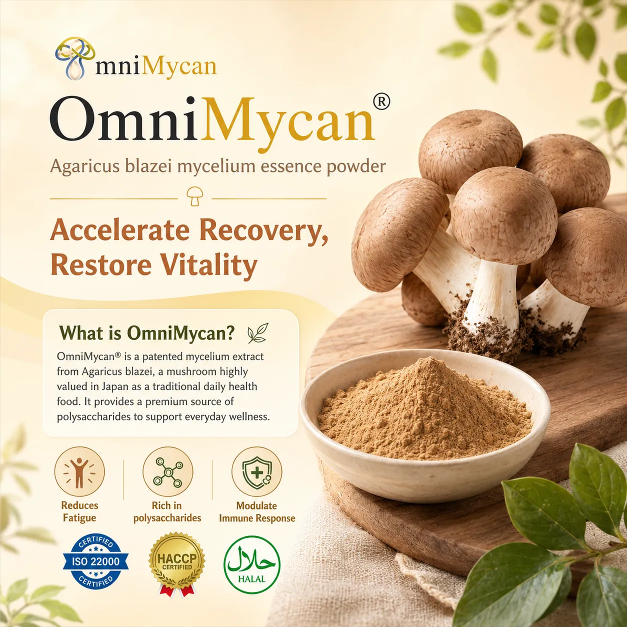 OmniMycan mushroom extract powder with fresh mushrooms