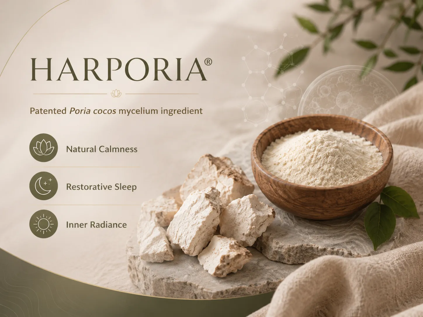 Bowl of Poria cocos powder and chunks