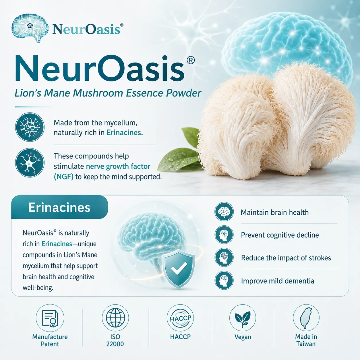 NeuroOasis Lion’s Mane mushroom supplement for brain health
