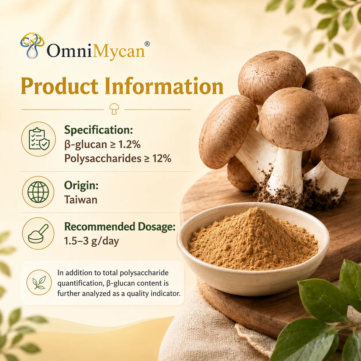 OmniMycan mushroom supplement product information graphic