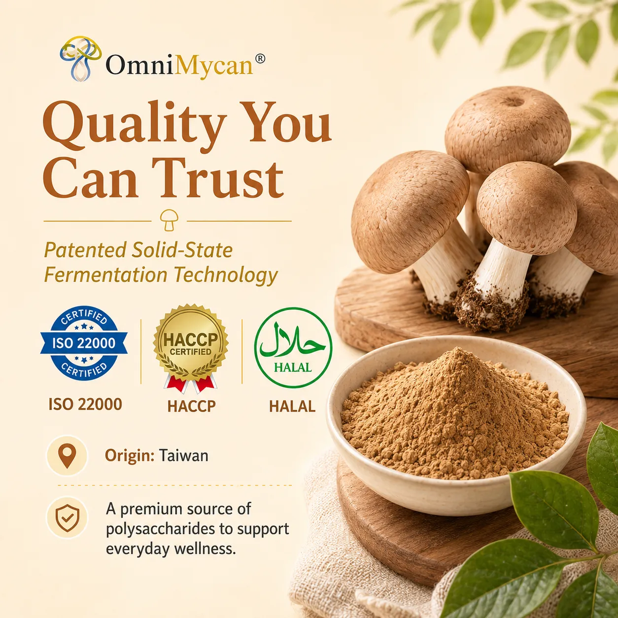 OmniMycan mushroom powder with certifications and fresh mushrooms