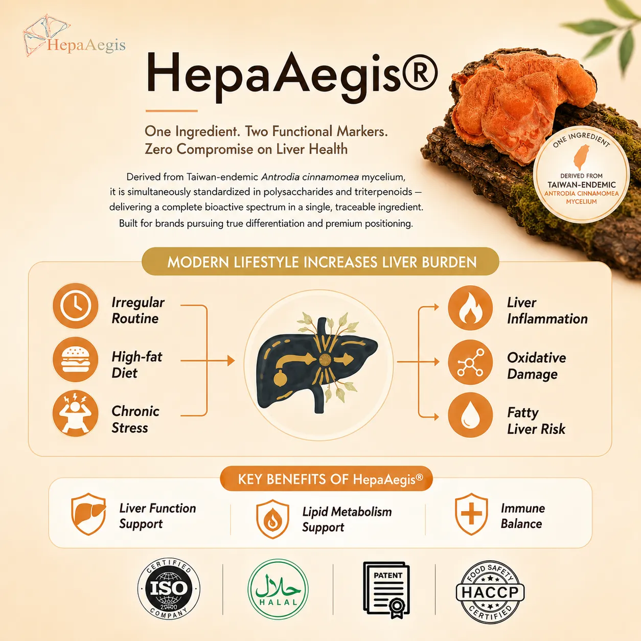 HepaAegis liver health ingredient infographic