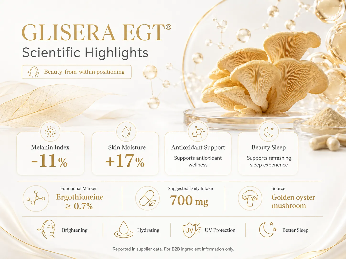 Golden oyster mushroom supplement scientific highlights infographic