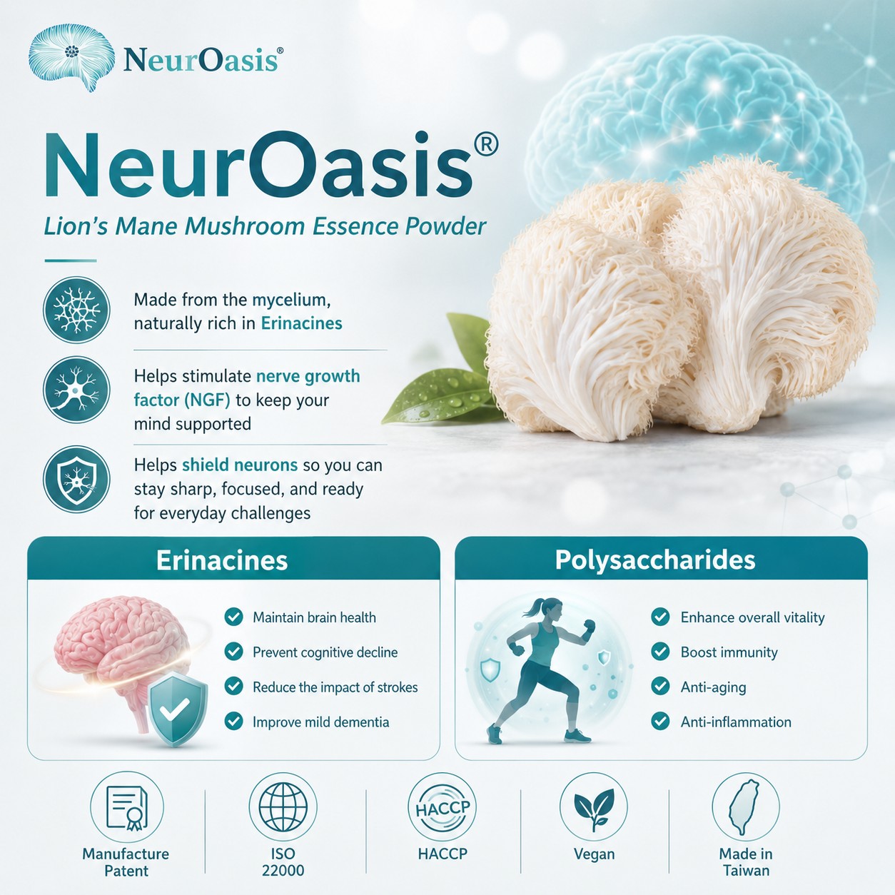 NeurOasis Lion’s Mane overview: benefits, erinacines and polysaccharides, certifications