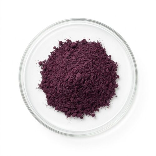 Dark purple acai berry extract powder in a glass petri dish