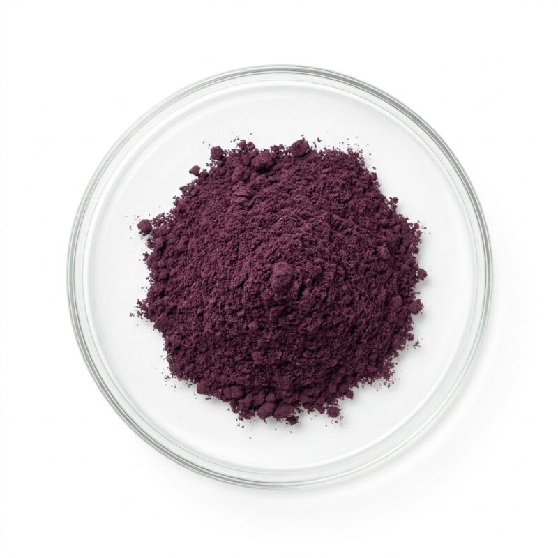 acai-berry-extract-powder Dark purple acai berry extract powder in a glass petri dish