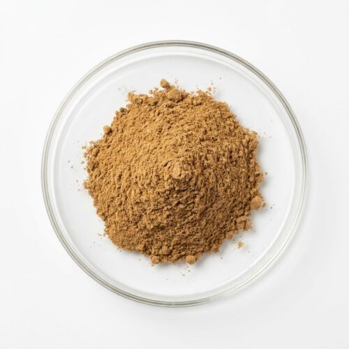 african-mango-seed-extract-powder Tan brown african mango seed extract powder in a glass petri dish