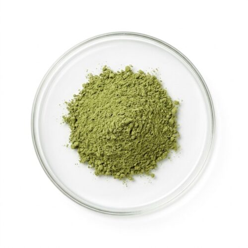 alfalfa-extract-powder Green alfalfa extract powder in a glass petri dish