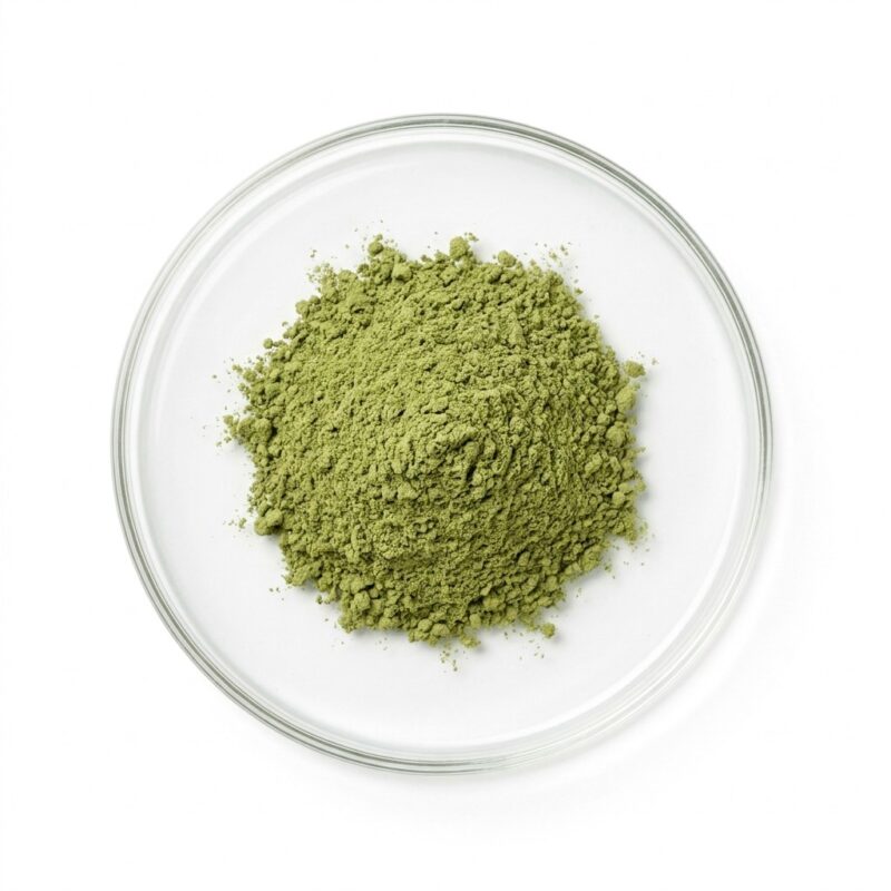 alfalfa-extract-powder Green alfalfa extract powder in a glass petri dish