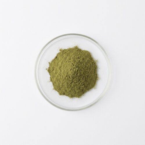bacopa-extract-powder Green bacopa monnieri extract powder in a glass petri dish