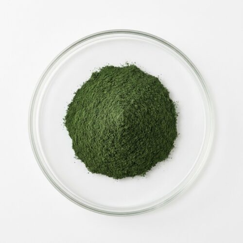 Dark green chlorella algae extract powder in a glass petri dish