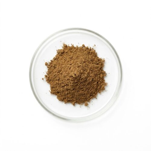 dandelion-extract-powder Brown dandelion root extract powder in a glass petri dish