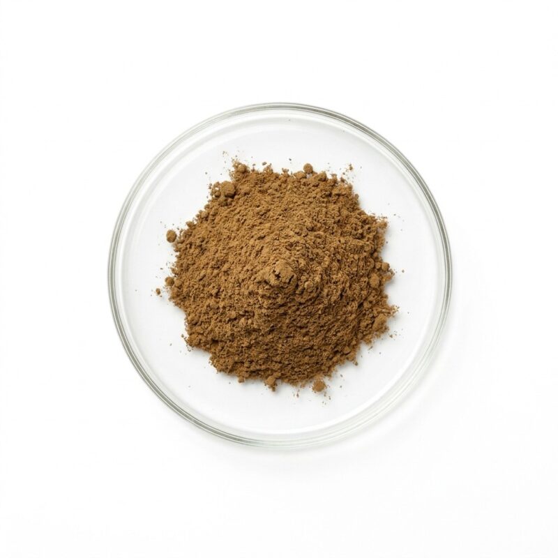 dandelion-extract-powder Brown dandelion root extract powder in a glass petri dish