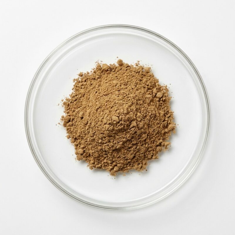 echinacea-extract-powder Tan brown echinacea extract powder in a glass petri dish