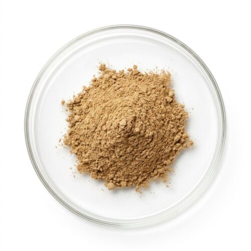 ginkgo-biloba-extract-powder Light brown ginkgo biloba leaf extract powder in a glass petri dish