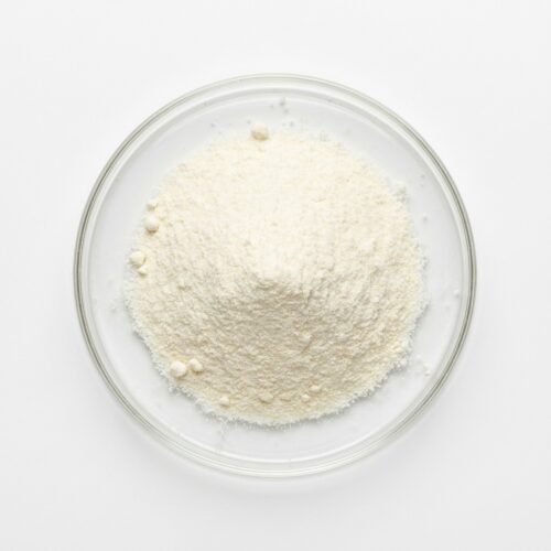 goat-milk-powder Fine white goat milk powder in a glass petri dish