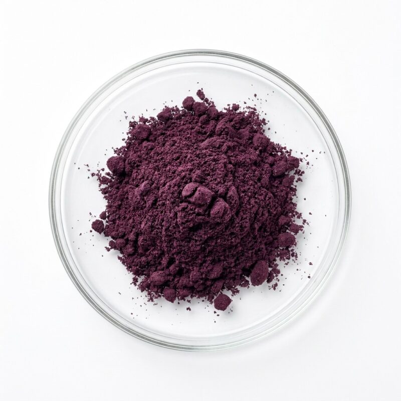 Dark purple blackcurrant fruit powder in a glass petri dish