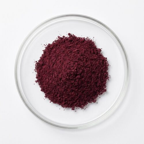 Dark red hibiscus flower extract powder in a glass petri dish