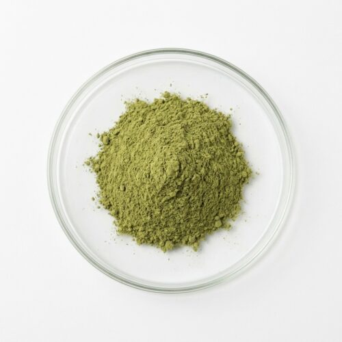 Green holy basil tulsi extract powder in a glass petri dish