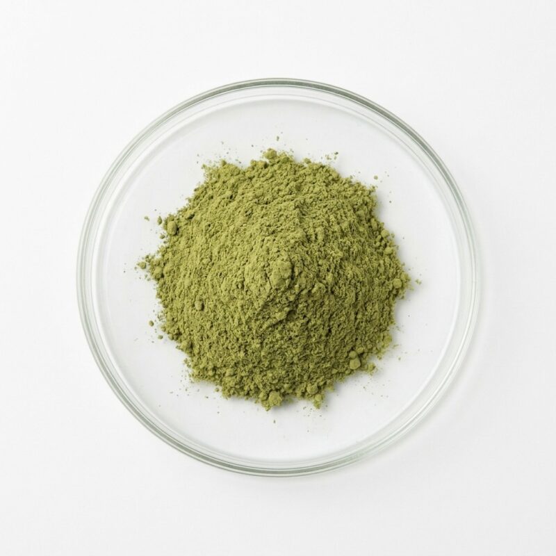 holy-basil-extract-powder Green holy basil tulsi extract powder in a glass petri dish