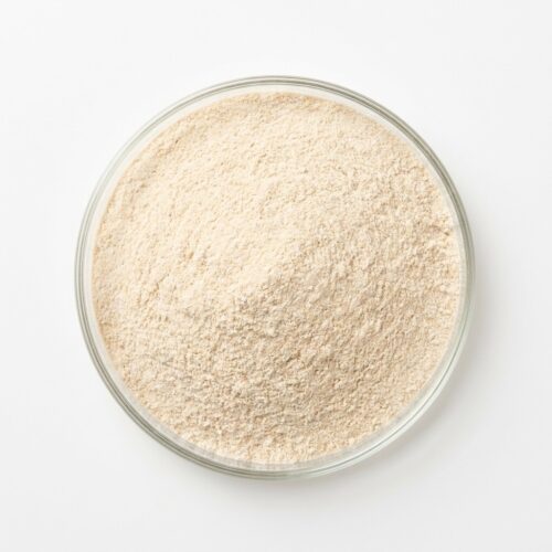 Tan white lions mane mushroom extract powder in a glass petri dish