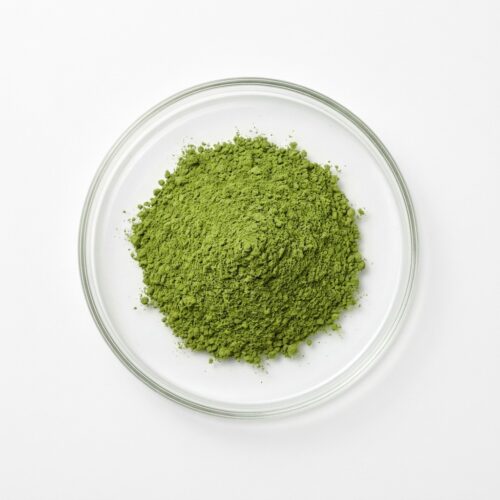 Green moringa leaf extract powder in a glass petri dish