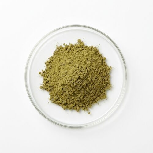 Green papaya leaf extract powder in a glass petri dish