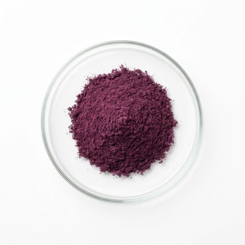 Dark red beet powder in a glass petri dish