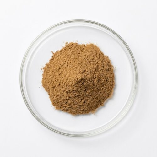 Tan brown rhodiola rosea root extract powder in a glass petri dish