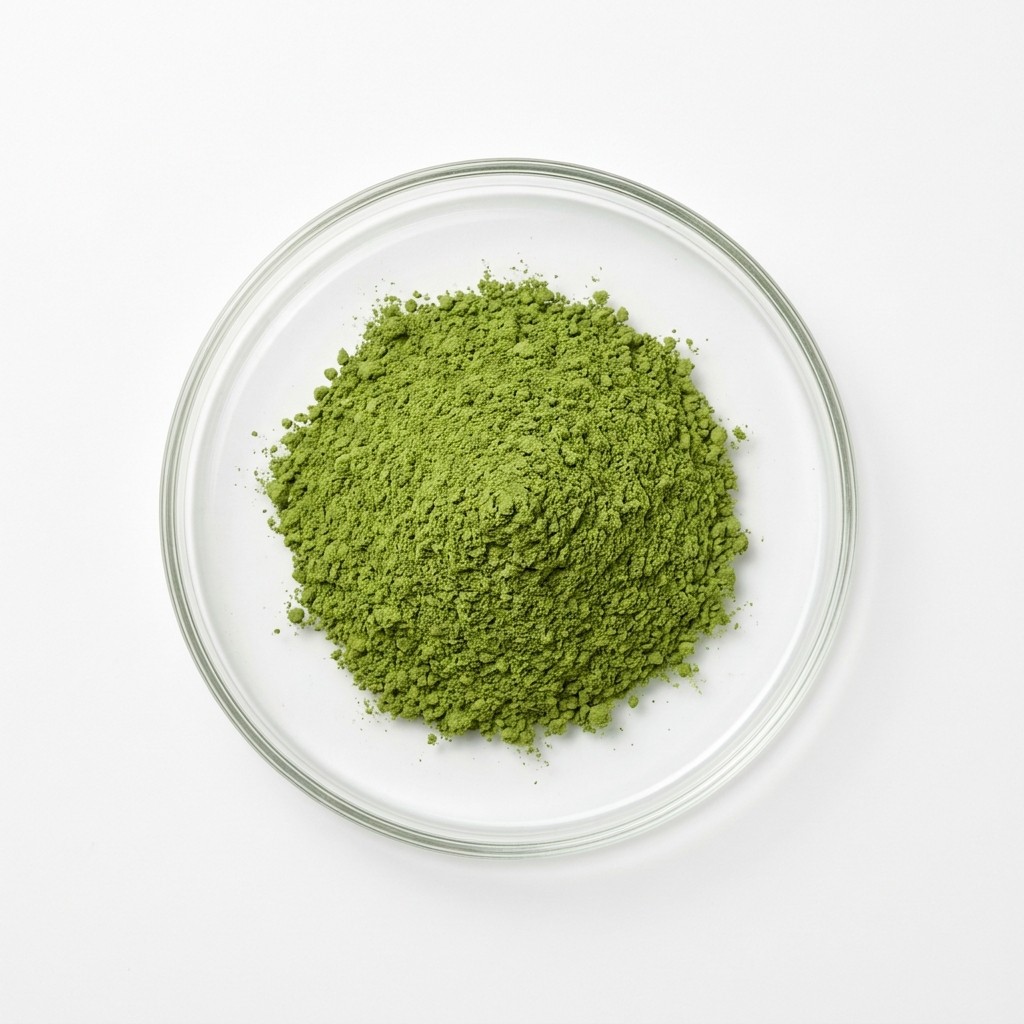 Senna leaf extract powder, a standardised sennoside botanical raw material supplied by FC Materials