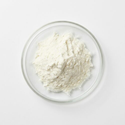 skim-milk-powder Fine white skim milk powder in a glass petri dish