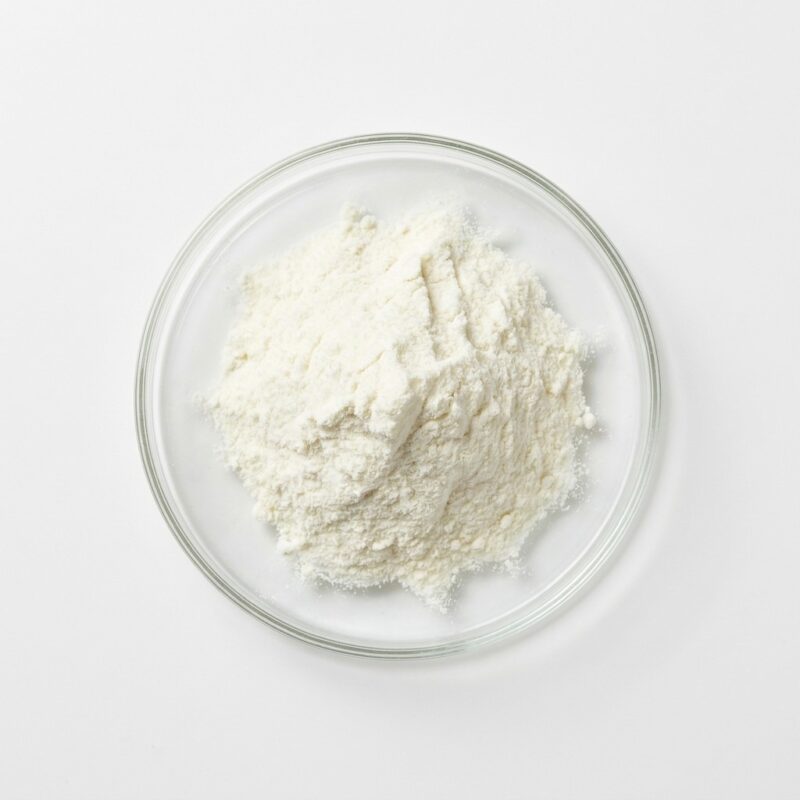 skim-milk-powder Fine white skim milk powder in a glass petri dish