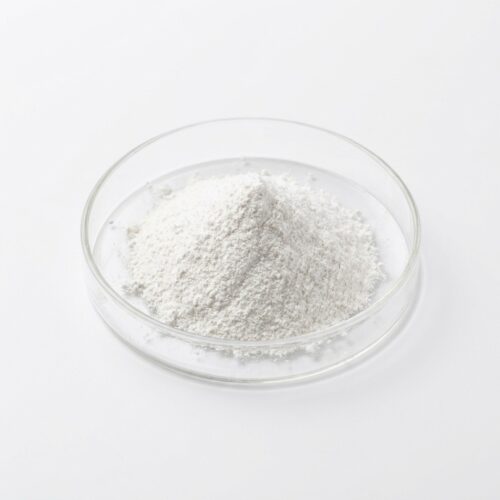 tricalcium-phosphate-powder Fine white tricalcium phosphate powder in a glass petri dish