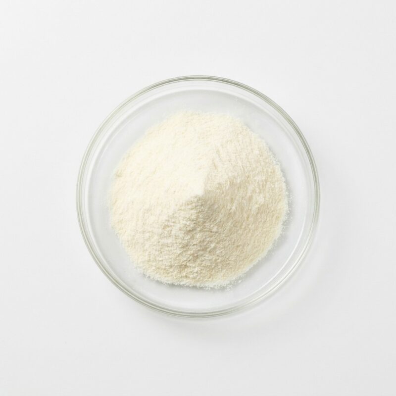 whole-milk-powder Fine cream-white whole milk powder in a glass petri dish